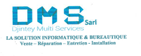 Logo DMS SARL